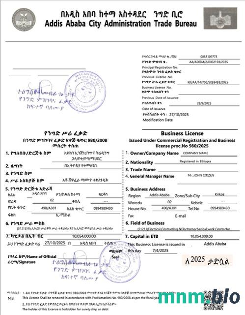 Etiopia Addis Abeba Business license Word i szablon PDF